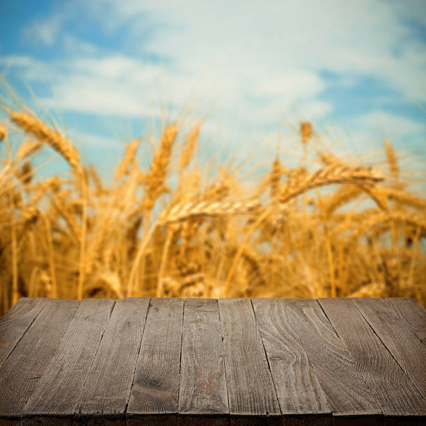 istock Empty wooden table with wheat field on background 637469744