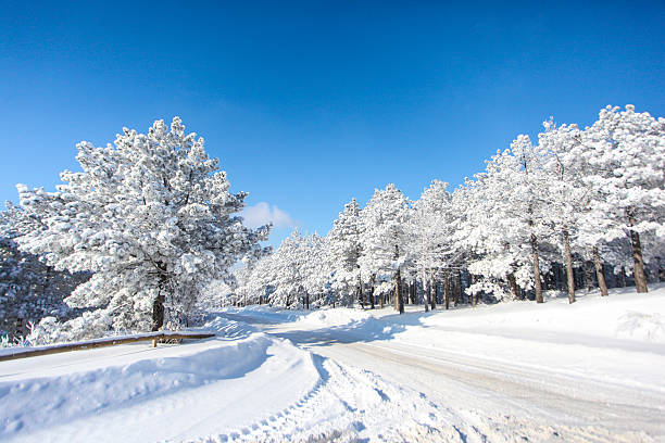 Free Stock Photo of Forest road with snow patches in winter | Download ...