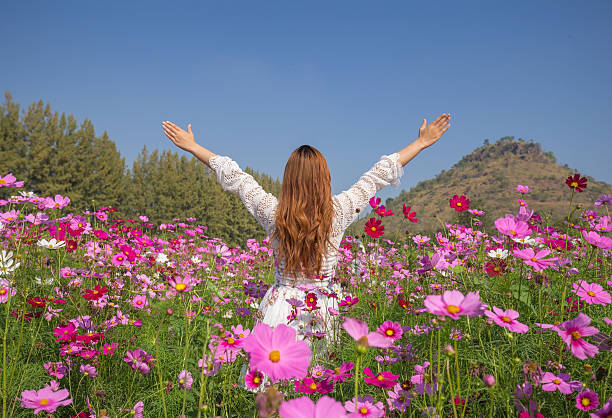 istock woman with cosmos flower field 637482212