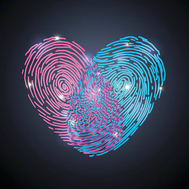 walentynki lub projekt ślubu. szkic serca odcisków palców wektora - fingerprint blue human finger fingermark stock illustrations