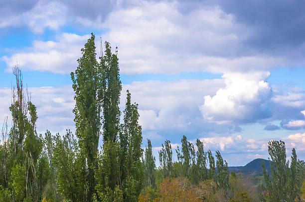 istock urban autumn landscape 637495036