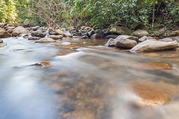 自然の岩の小川を通って滑らかな流れる水。 - natural phenomenon waterfall rock tranquil scene ストックフォトと画像