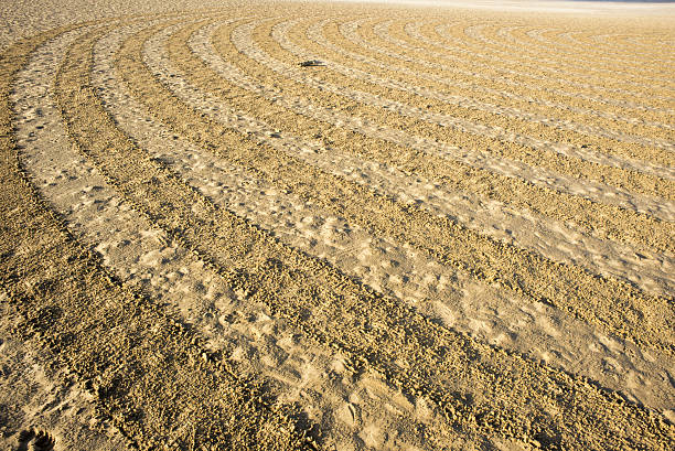 istock Circular design in raked on the beach 637498064