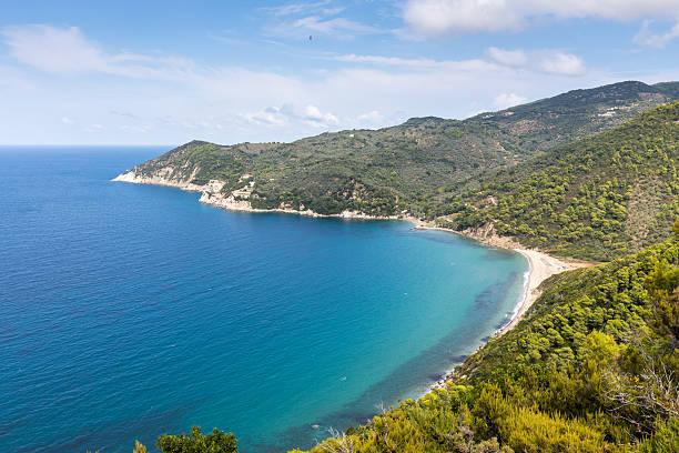 istock Landscape Of Skiathos 637507246