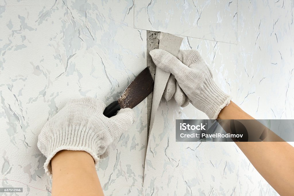 removing of old wallpapers from wall removing old wallpapers from wall with spatula during repair Wallpaper - Decor Stock Photo