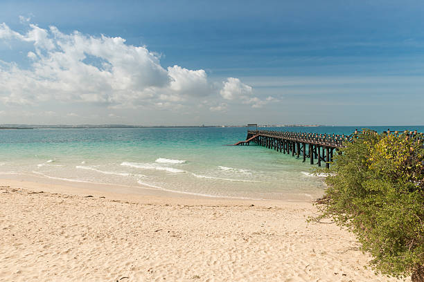 istock beautiful Zanzibar beach with pier in ocean 637513326