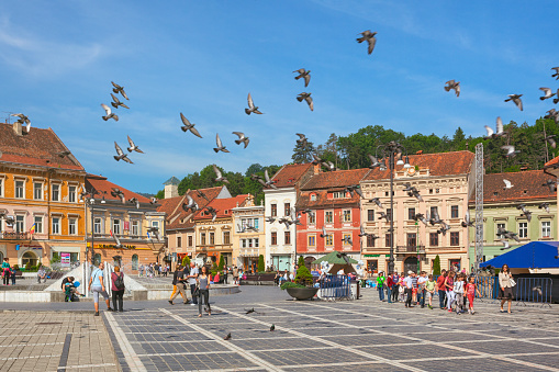 Brasov, Romania - June 1, 2016: A flock of pigeons takes off at the Council Square (Piata Sfatului), the central square in the old town of Brasov.