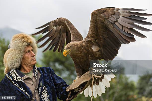 Cacciatore Di Aquile Kazako - Fotografie stock e altre immagini di Aquila reale - Aquila reale, Aquila, Ala di animale