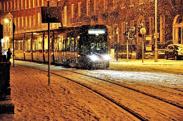istock Dunlin tram in the Snow 637519142