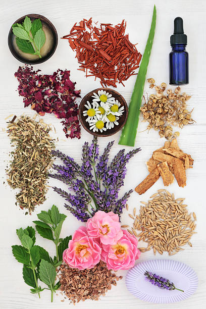 istock Herbal Skincare with Healing Ingredients 637522274