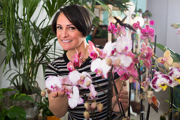 istock woman choosing  potted phalaenopsis 637523218