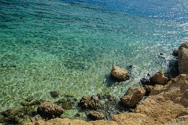 istock tropical red sea beach 637524380