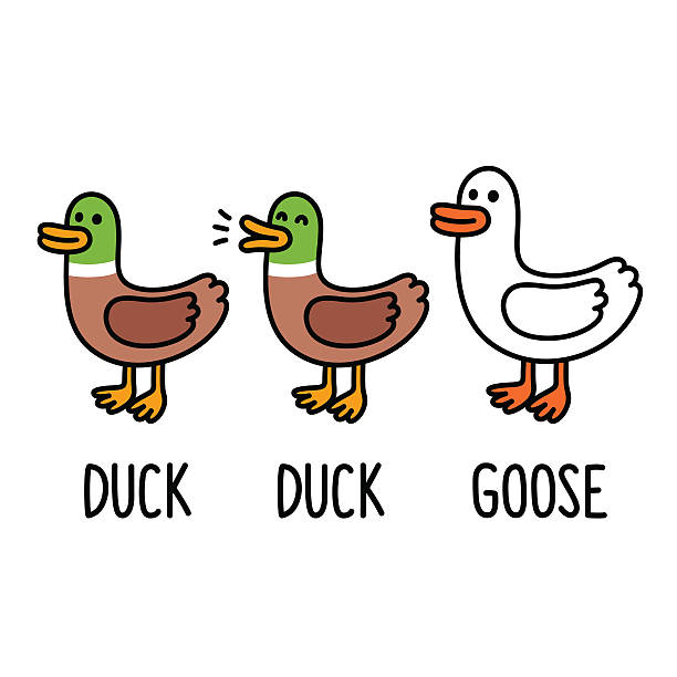 Duck, duck, goose "Duck, duck, goose" funny cartoon children game illustration. Cute vector birds drawing. drake male duck illustrations stock illustrations