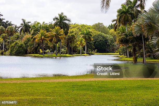 Meadow And Pond In Fairchild Tropical Botanic Garden Stock Photo - Download Image Now