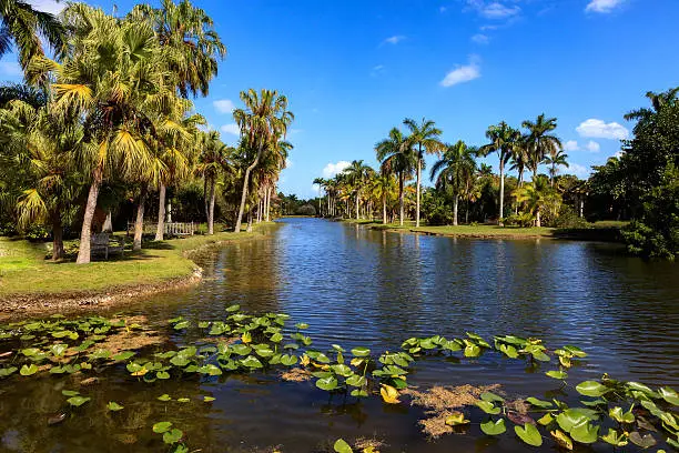 Meadow, pond and water lily in Fairchild Tropical Botanic Garden, Florida, USA