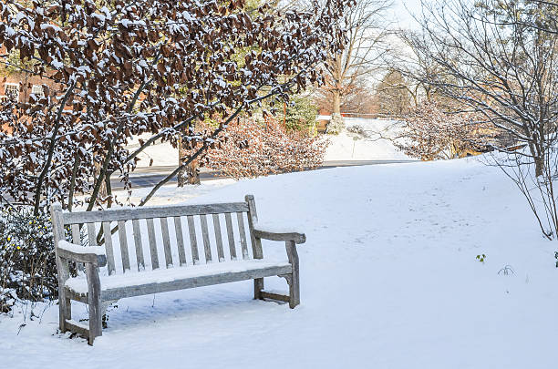 istock Wooden Bench covered in snow after storm 637526976