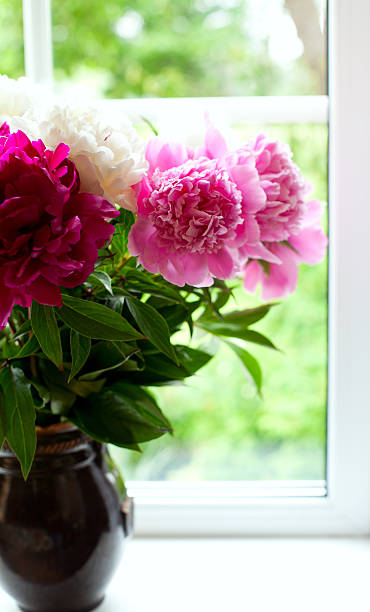 istock vase with colorful peonies on window-sill 637527936