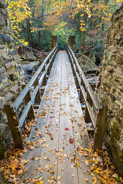 swinging bridge jesienią - babcock state park zdjęcia i obrazy z banku zdjęć