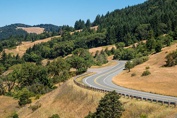 istock Northern California highway 637530616