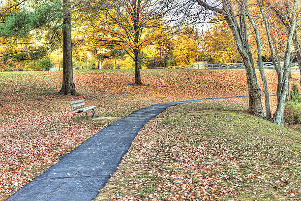 istock Sidewalk paved path with bench in field of leaves 637530670