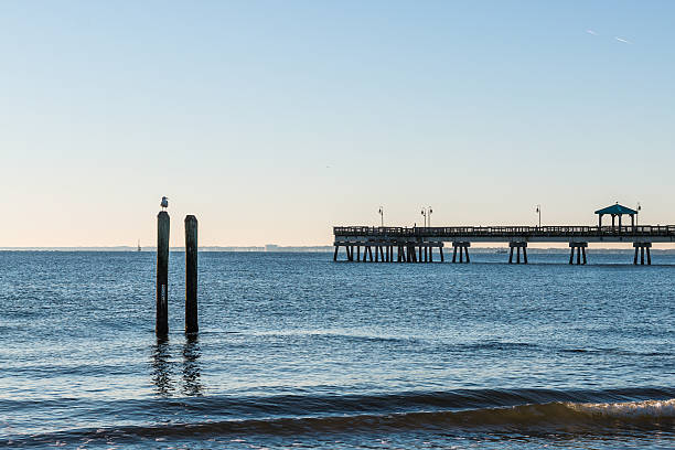istock Fishing Pier at Buckroe Beach 637531992