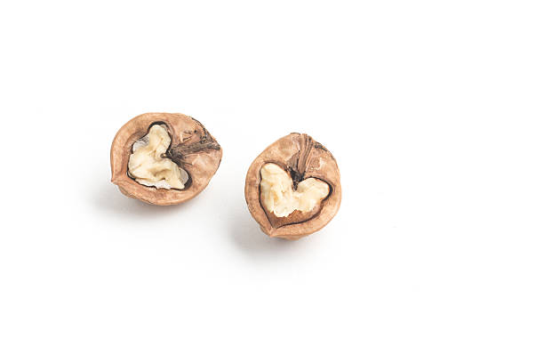 クルミのハート型 - walnut pod nutshell cross section ストックフォトと画像