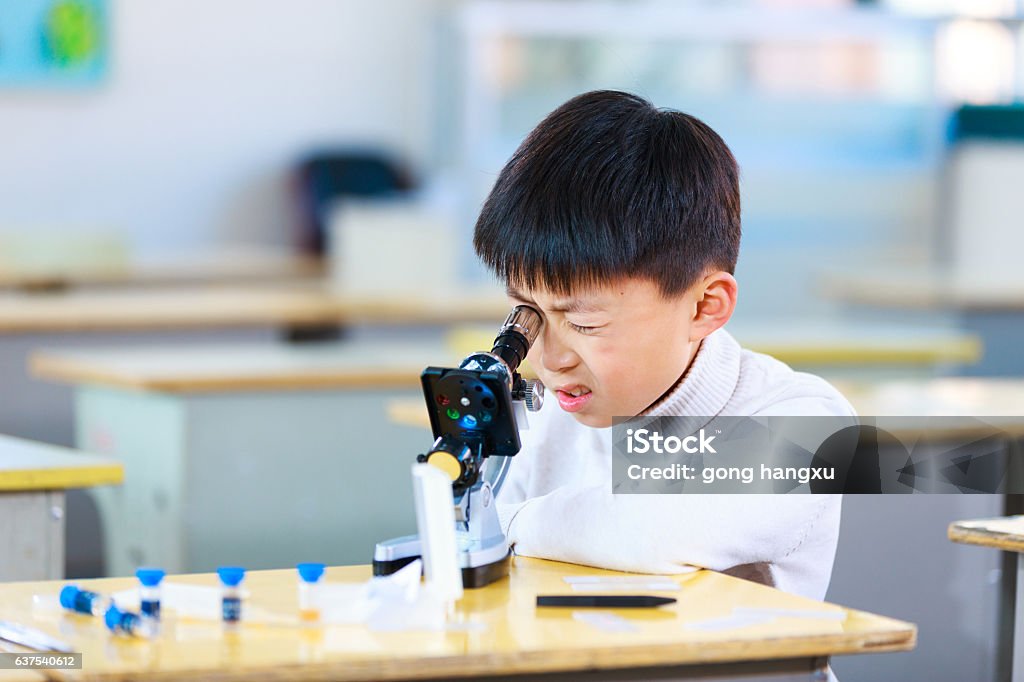 Experiment Using Student Asian Primary Student Does Experiment By Using Microscope In Classroom ...