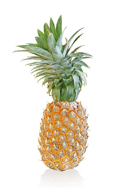 istock pineapple picked fresh from the garden, 637542304