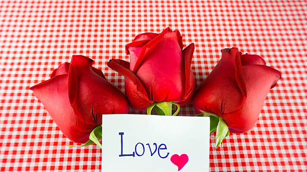 istock Red rose with message card Image of Valentines day 637543192