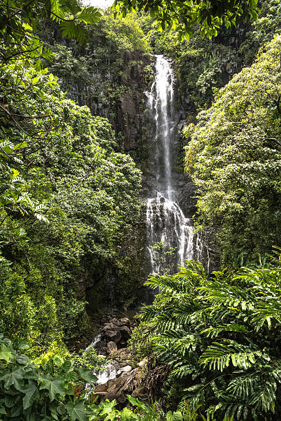 istock Waterfall at Haleakala National Park, Maui, Hawaii 637543762