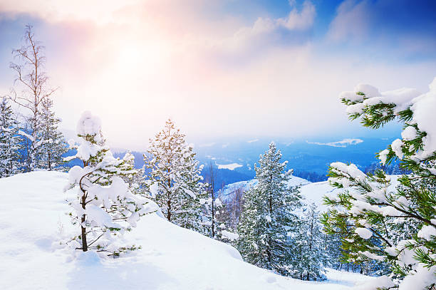 istock Snow-covered trees in the mountains 637544572