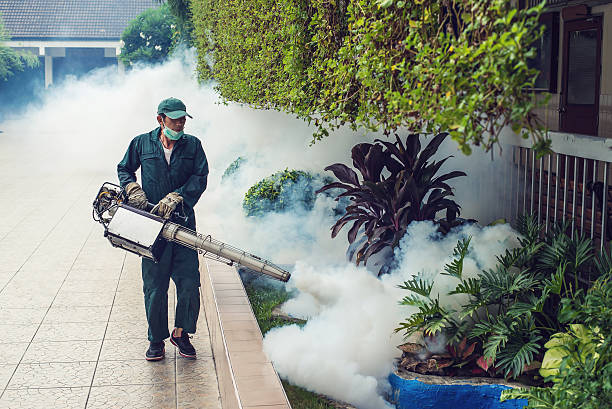 istock Man work fogging to eliminate mosquito 637544612
