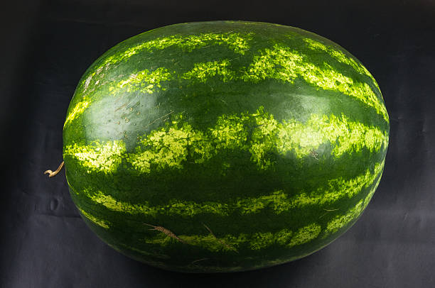 ripe juicy watermelon