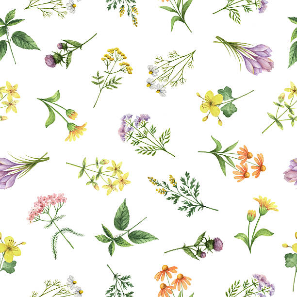 watercolor seamless pattern with flowers and branches. - kruidengeneeskunde illustraties stockfoto's en -beelden