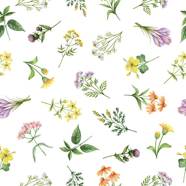 Watercolor seamless pattern with flowers and branches.