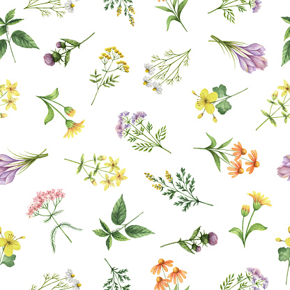 Watercolor seamless pattern with flowers and branches. Background for textile, paper and other print and web projects.