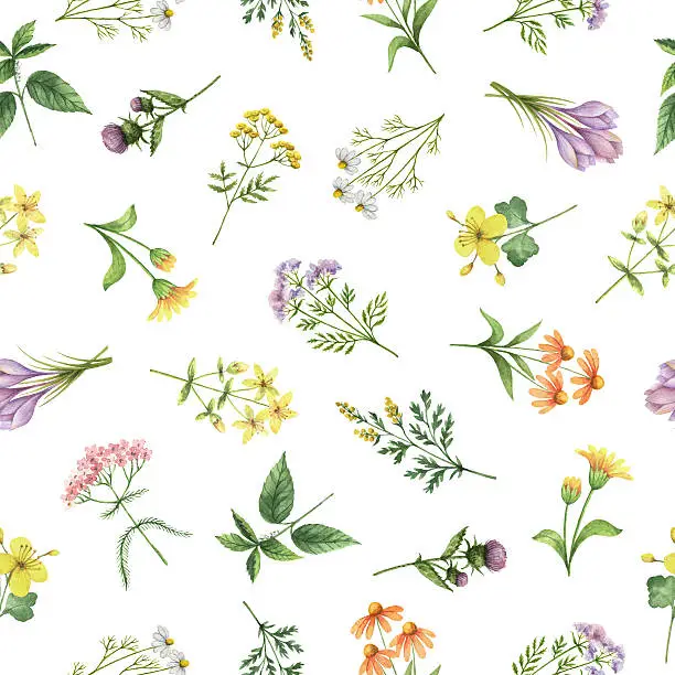 Watercolor seamless pattern with flowers and branches. Background for textile, paper and other print and web projects.