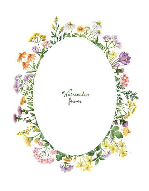 istock Watercolor oval wreath with meadow plants. 637549508