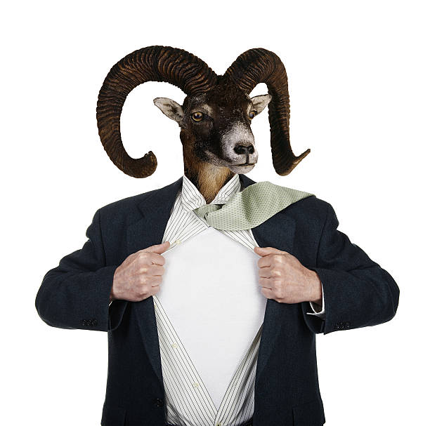 istock Superhero With Head of a Goat 637550982