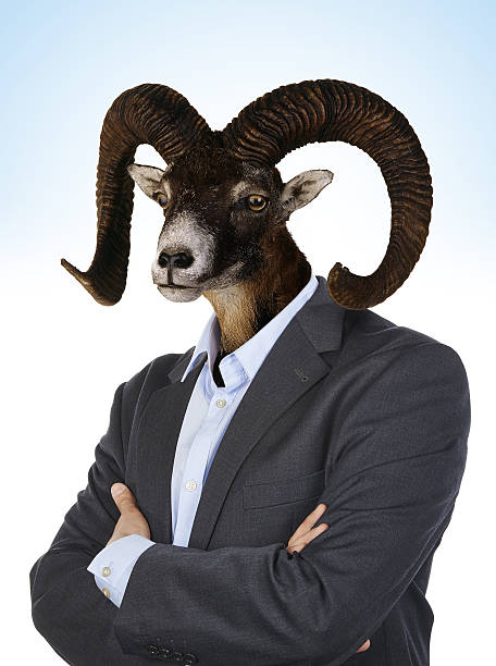 istock Head of a Goat on a man's body 637551080