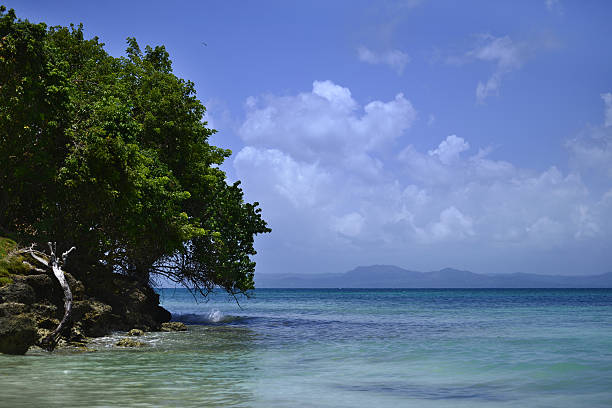 istock Virgin beach, Samana peninsula, Dominican Republic, Cayo Levantado 637556482