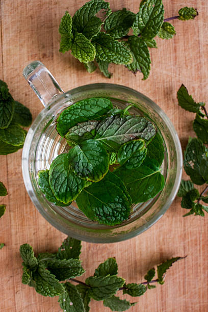 té de menta en un vaso sobre fondo de madera - mint tea peppermint tea green tea fotografías e imágenes de stock