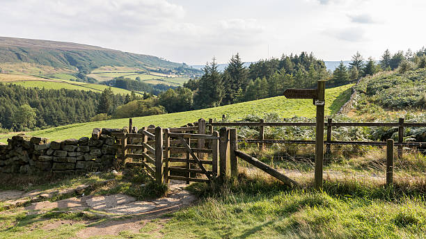 istock Landscape in North Yorkshire, England 637557864