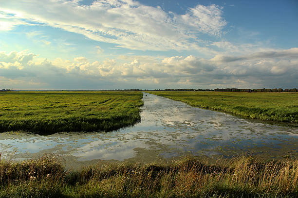 istock Beautiful river receding into the distance with reflection of clouds 637559360