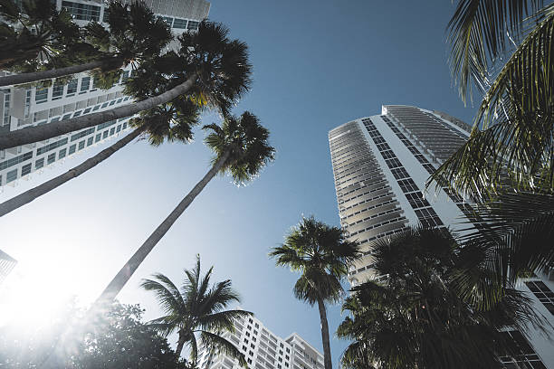 miami downtown