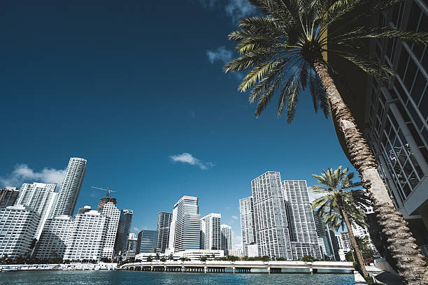 istock the Miami brickell key aerea in the downtown 637560050