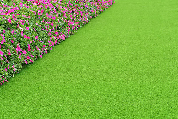 istock Green artificial grass with pink flower 637563586