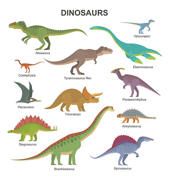 Dinosaurs collection Vector collection of cute flat dinosaurs, including T-rex, Stegosaurus, Velociraptor, Pterodactyl, Brachiosaurus and Triceratop, isolated on white. pteranodon stock illustrations