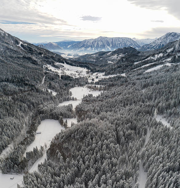 австрийские альпы, покрытые снегом, ауссерланд, штирия, австрия - bad aussee стоковые фото и изображения