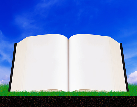 Open blank book and grass on blue sky background